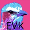 DEVK - Developer Keyboard for Objective C and Swift Programming.