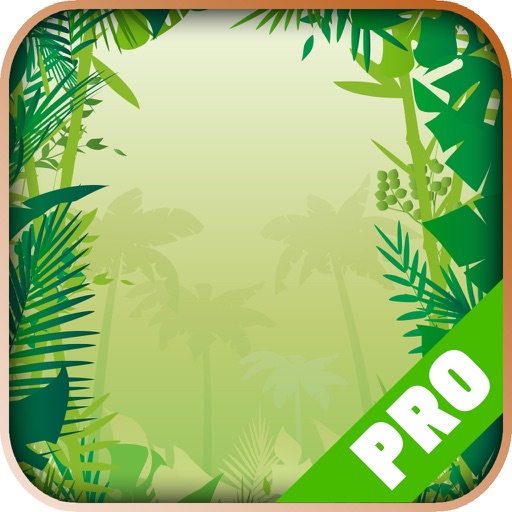 Game Pro - Donkey Kong Country Returns Version Icon