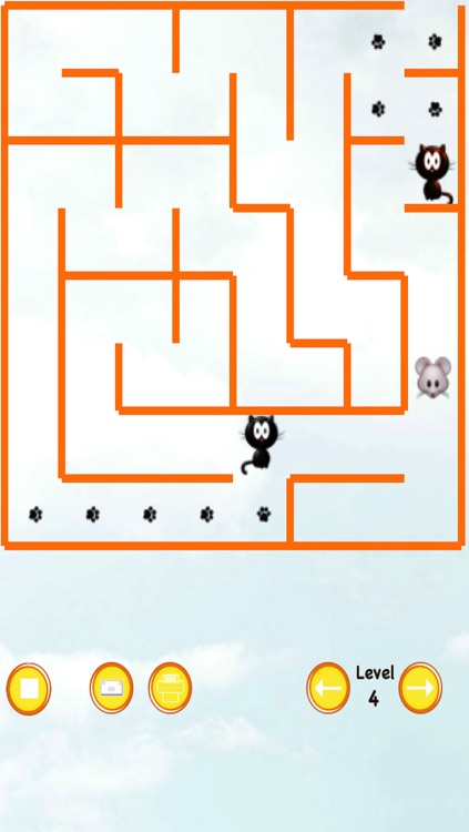 Cat Maze Race