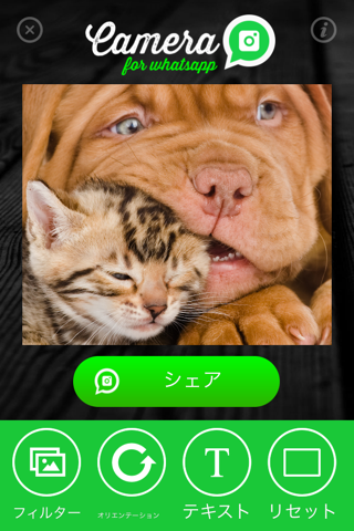 Camera for WhatsApp - Share amazing photos with your friends screenshot 3