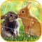 Animals Jigsaw Puzzles is a mini-game puzzle about cute animals 