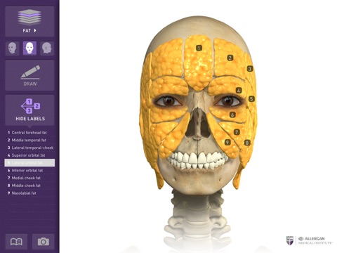 Interactive Anatomy - UK & IRE screenshot 4