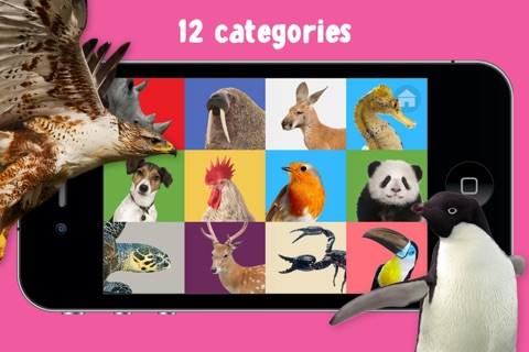 100 Animal Words for Babies & Toddlers Pro screenshot 3