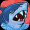 Shipwreck Shark Attack