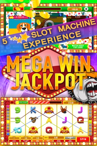 Doggy Dog Cash World: Best free Vegas jackpots screenshot 2