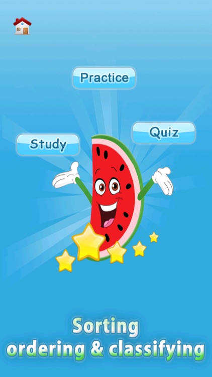 Sorting - Ordering - Classifying 1st grade