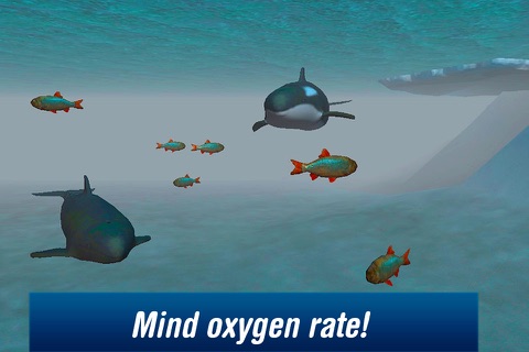 Killer Whale: Orca Simulator 3D Free screenshot 4
