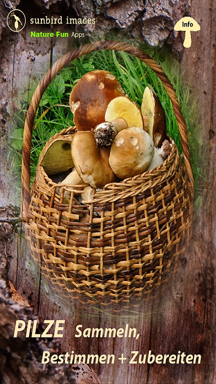 Pilze Sammeln, Bestimmen und Zubereiten - der Pilzführer für Wald und Natur