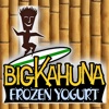 Big Kahuna Frozen Yogurt