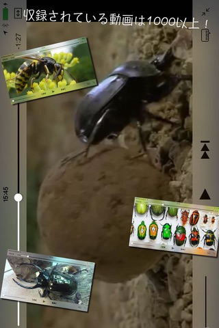 BugPedia screenshot 2