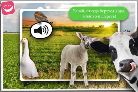 Free Sound Game Farm Animals Photo screenshot 2