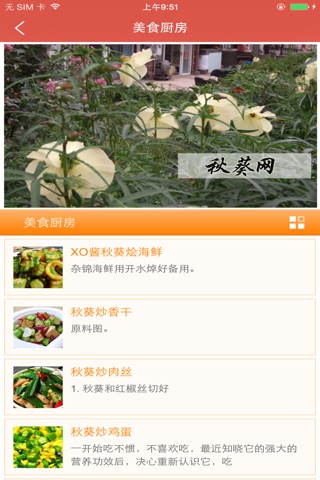 中国秋葵网 screenshot 3