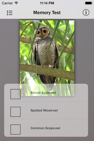 Owls Guru screenshot 2