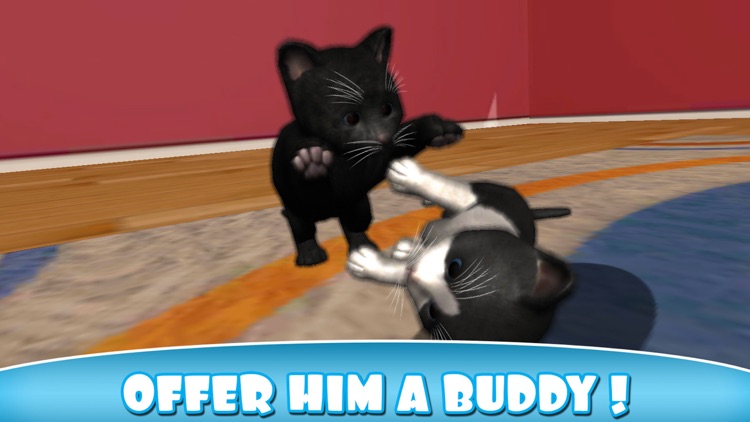 Daily Kitten : virtual cat pet screenshot-4