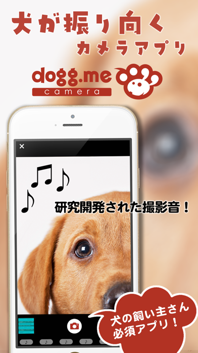 dogg.me camera(ドッグミーカメラ)--愛犬家向け写真SNSのおすすめ画像1