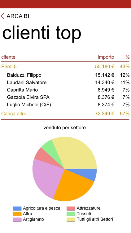 Arca BI screenshot-4