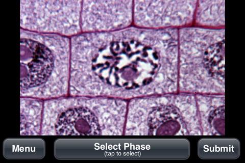 Plant Histology HD screenshot 4