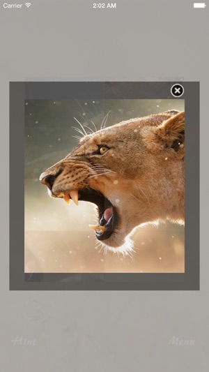 Free Wild Animal Jigsaw Puzzle(圖4)-速報App