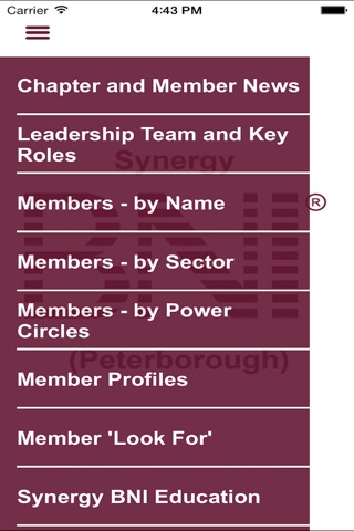 Synergy BNI (Peterborough) screenshot 2