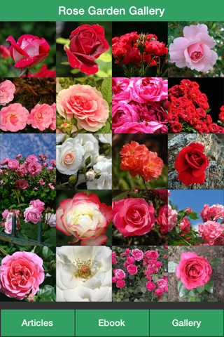 Rose Garden Guide - A Guide To Planting Your Own Rose Garden Successfully! screenshot 2