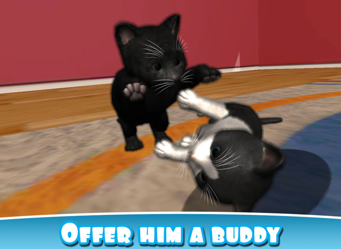 Daily Kitten  virtual cat pet