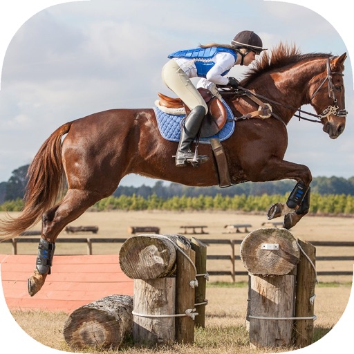 Learn How To Horse-Back Riding - Best Stallion Riding Experience Guide For Advanced & Beginners icon