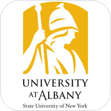 University at Albany Читы