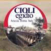 Cioli Egidio S.r.l.