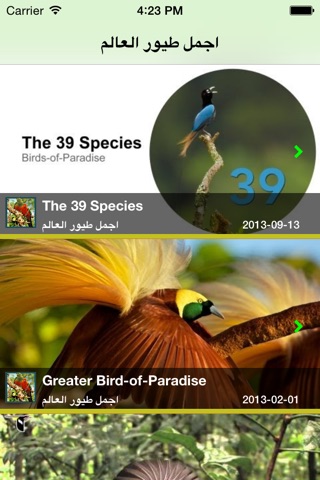 اجمل طيور العالم screenshot 2