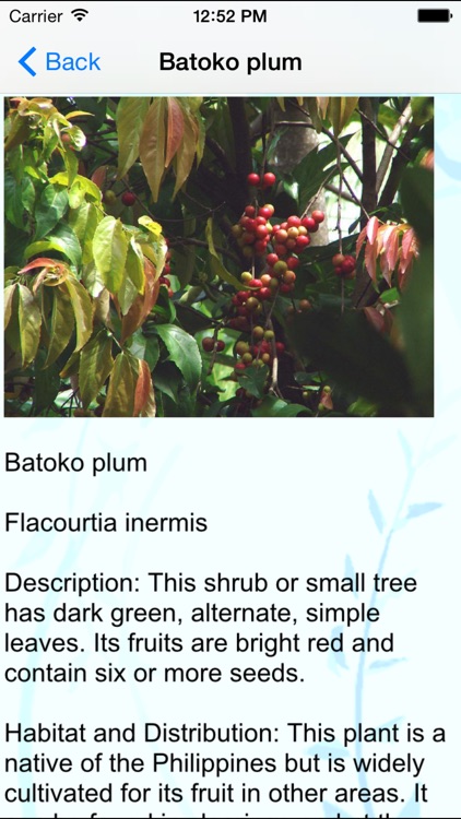 Edible and Poisonous Plants