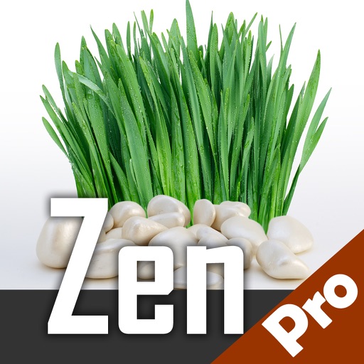 Zen music for relaxation and meditation - Amazing portable Zen garden calming nature soothing sounds radio stations with melodies for deep sleep in your pocket icon