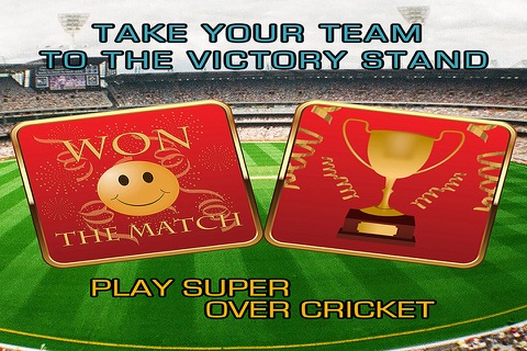 Super Over Cricket screenshot 2