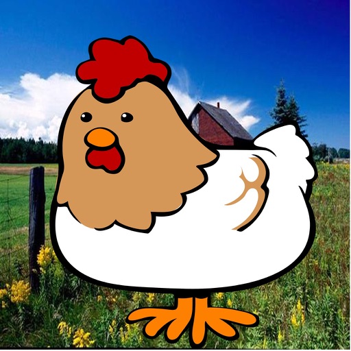 Magic Chicken iOS App