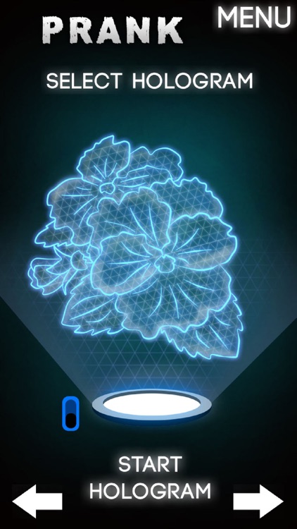 Hologram Flowers 3D Simulator