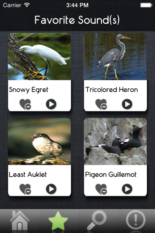 Bird Sounds - Ultimate Sounds Collections screenshot 2