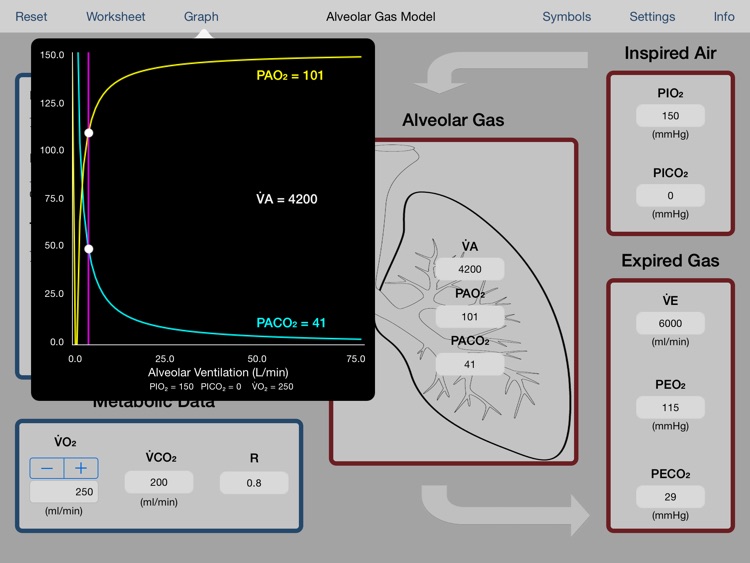 Alveolar Gas