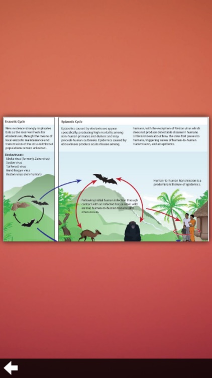 Ebola Virus Info