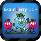Top 42 Education Apps Like 11+ Non Verbal Reasoning - Fully Interactive NVR Practice and Mocks - Best Alternatives