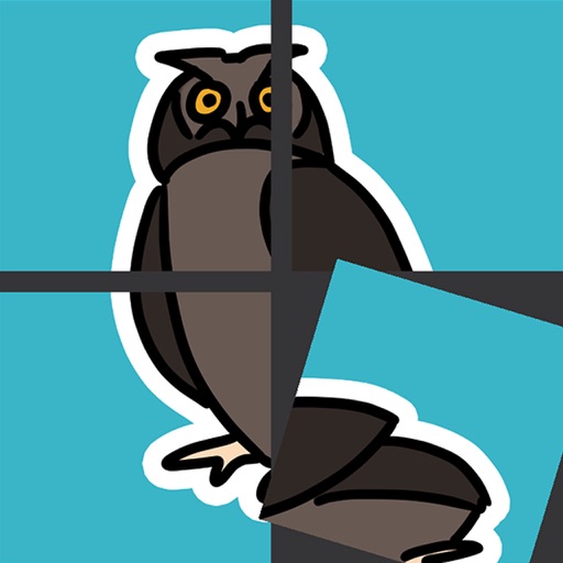 Rotate Owl Puzzle Icon