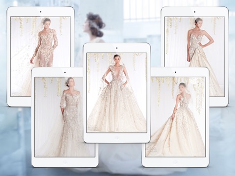 Wedding Dress & Bridal Gown Ideas for iPad screenshot 2