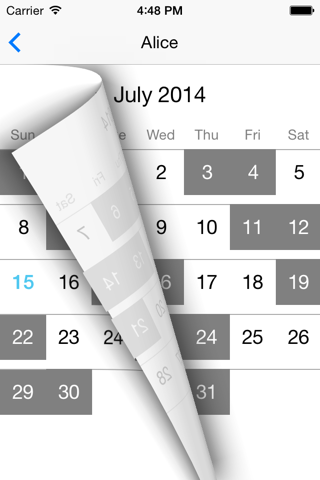 Workdays Calendar screenshot 3