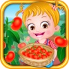 Baby Hazel Tomato Farming