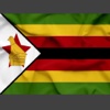 Zim News Digest