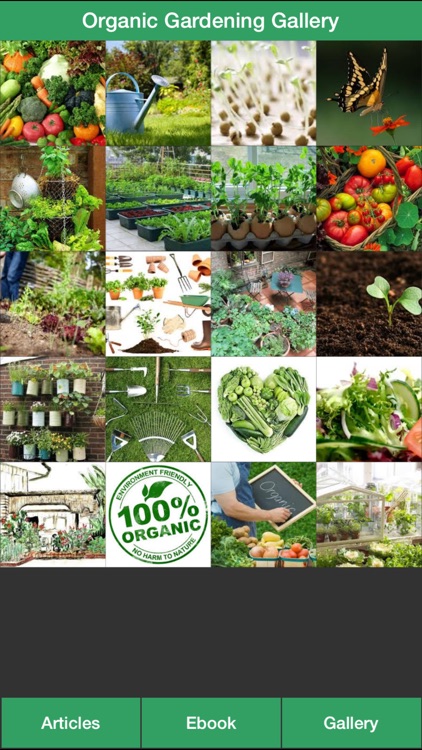 Organic Gardening Guide - A Guide To Growing Your Own Organic Vegetables