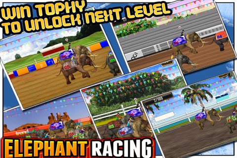 Elephant Racing Simulator screenshot 4