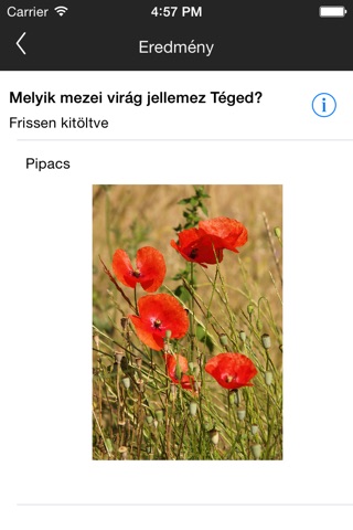 Ki vagyok én? screenshot 4