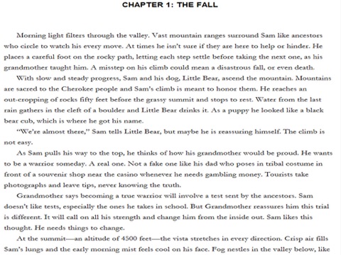 screenshot 1