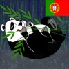 Panda e Sono