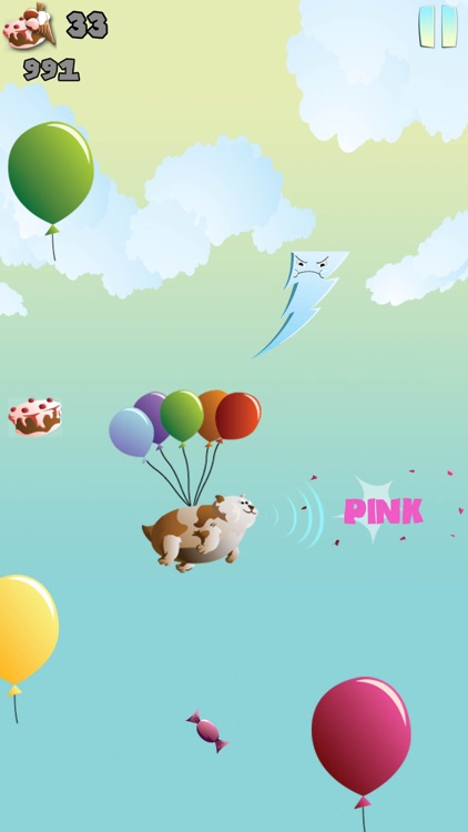 Pets Escape From The Pet-Shop - Learn Colors The Balloon Popping Fun Way