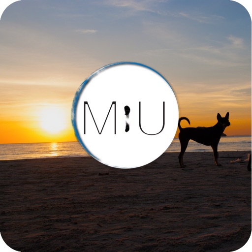 Art Photo Wall Maker 05 by KENICHI KATO